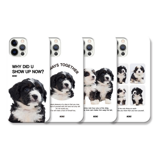 ������ ������14 ���� �ƽ� 9C9C �ٵ��� �������̽�