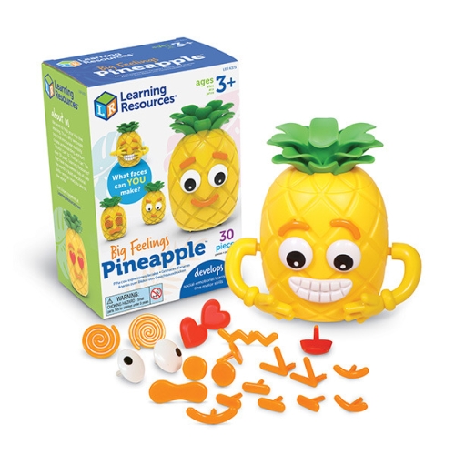 러닝리소스 러닝리소스 러닝리소스 LER6373 감정표현 파인애플