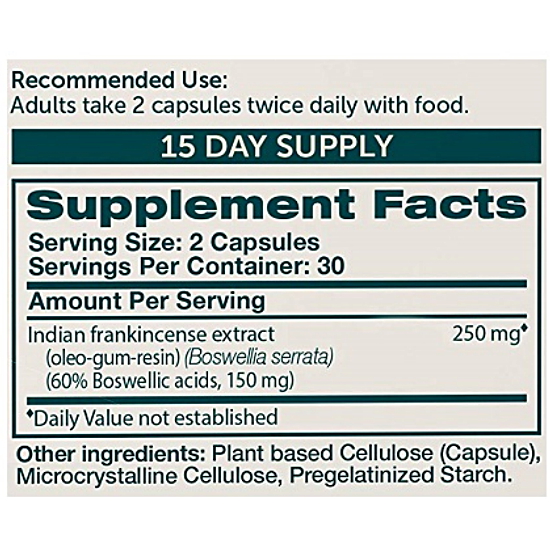 ������� ���������� 60����ĸ�� (�ؿ�)