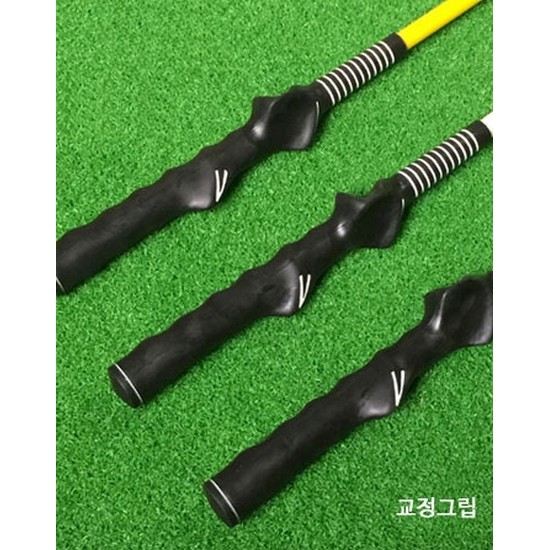 골프 스윙연습기 더블그립_이미지