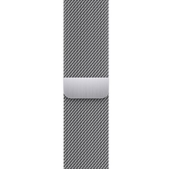 APPLE 워치 밀레니즈 루프 (실버) (41mm)_이미지