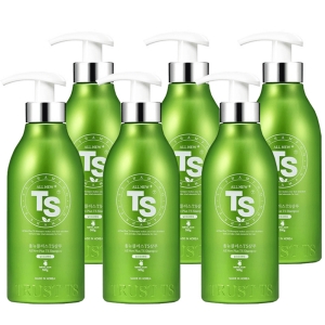 TS 올뉴 플러스 TS 샴푸 500g (6개)_이미지