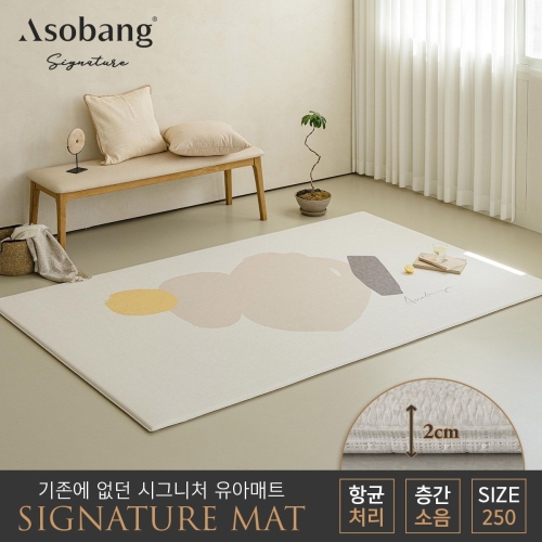 아소방 아소방 시그니처 놀이방매트 소이스트 250x150x2cm (1개)_이미지