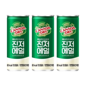 코카콜라음료 캐나다드라이 진저에일 250ml (10개)