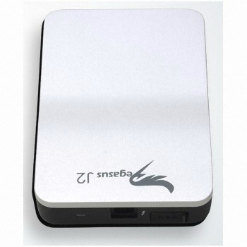 Promise Pegasus J2 (256GB)_이미지