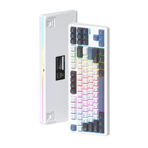 Riccks RS8 V2 유무선 기계식 해외구매 (목설축)_이미지