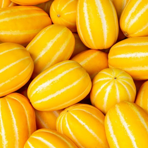 초록자연 성주 참외 21~25과 10kg (1개)_이미지