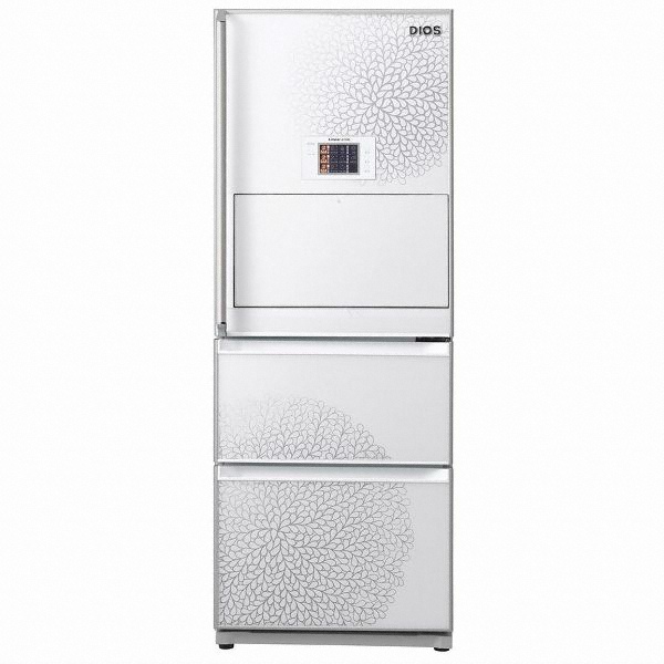 LG전자 디오스 R-D311GDEW_이미지