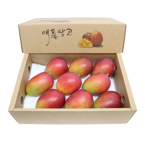 삼다몰 제주 애플망고 대 3kg