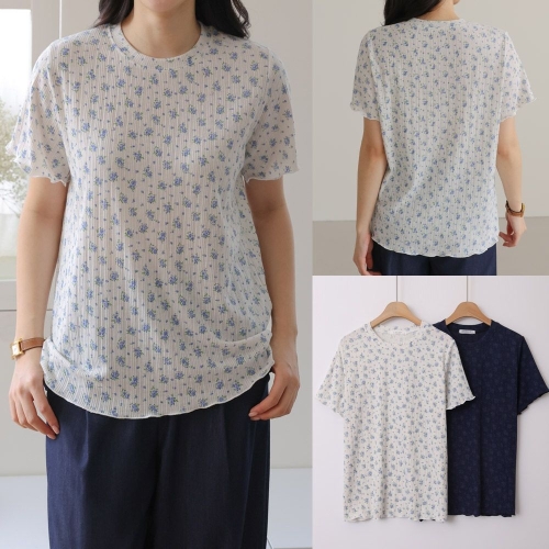 ���̿�� ������ LY �����ö��Ƽ���� U293H504 �������