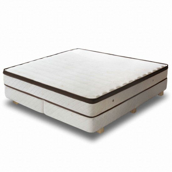 ������ C4 �ø��� ���̽� ����ž �׷��� ��Ʈ���� 26cm