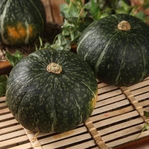 햇살조은 국내산 청정 햇 단호박 10kg