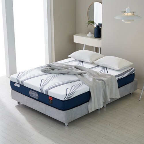 ��ƹ̾��� �׷� ���������� ����Ʈ�� 25T ��Ʈ���� Q