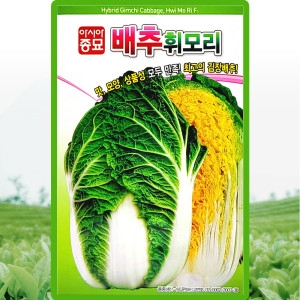 아시아종묘 휘모리배추 씨앗 김장배추 씨 종자 1000립