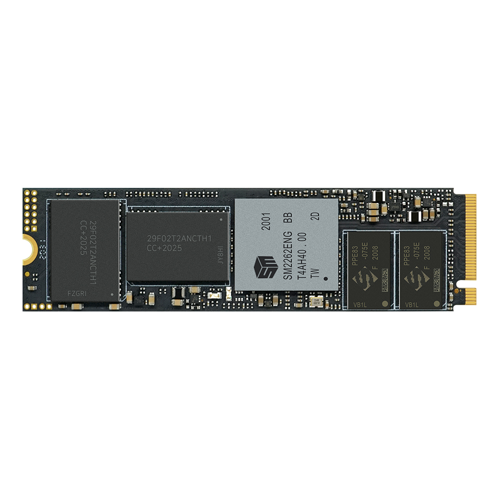 ����ũ�δн� WARP GX1 M.2 NVMe