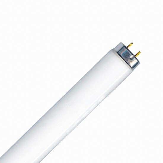 우리조명 장수램프 FL 형광등 주광색 30W