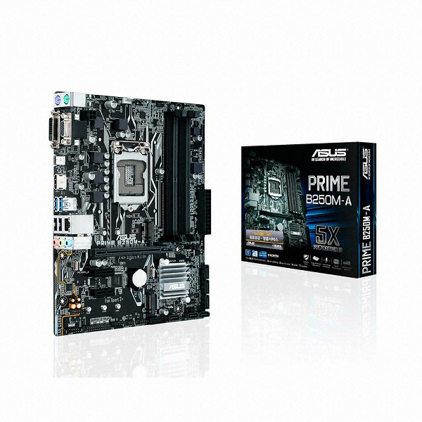 ASUS PRIME B250M-A + M.2 SSD 256GB 아이보라_이미지