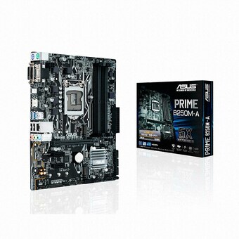 ASUS PRIME B250M-A + M.2 SSD 256GB 아이보라