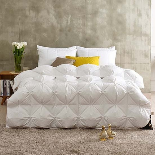 ���Ƶ帲 ����� �����ٿ��̺� �������