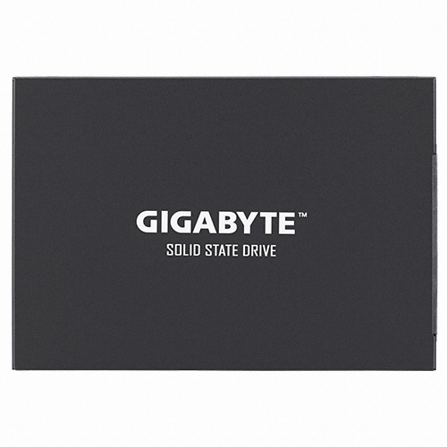 GIGABYTE UD PRO ���̾���(256GB)