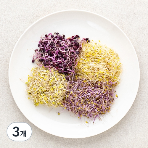 새싹 채소 (50g,3개)_이미지