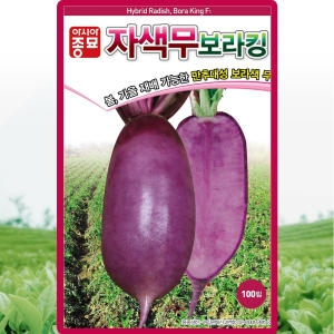 아시아종묘 자색무 씨앗 적색무우 씨 종자 100립