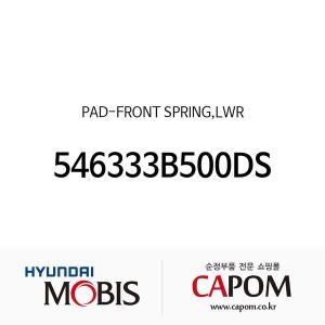 현대모비스 패드-프론트 스프링 하부 546333B500-DS_이미지