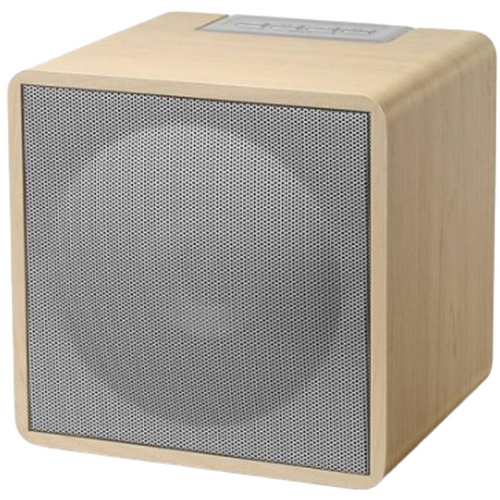 Britz 브리츠인터내셔널 BZ-NT22 (정품)