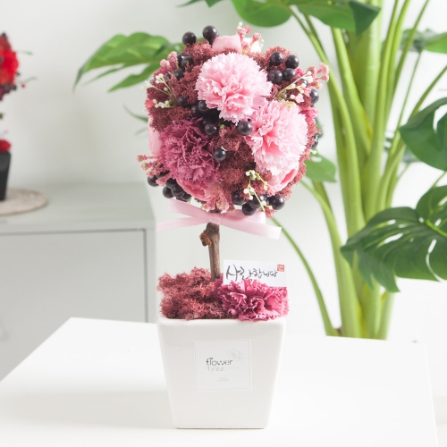 �ö��Ʈ�� ����ī���̼����Ǿȭ��set 30cm P4 ��ȭ FSCANM