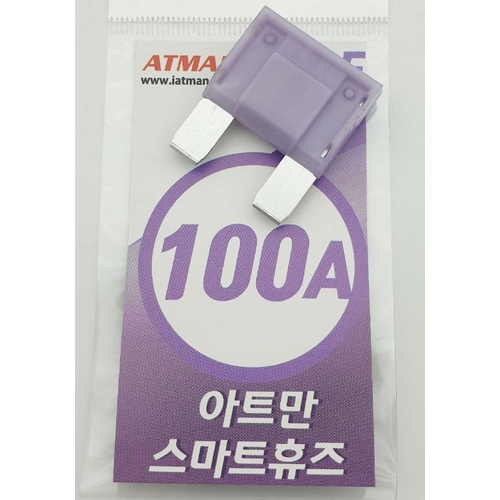 초대형 LED 자동차 휴즈 AMP-100A