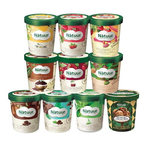 롯데제과 나뚜루 파인트 10종 3개 골라담기 녹차 초코 스트로베리 등