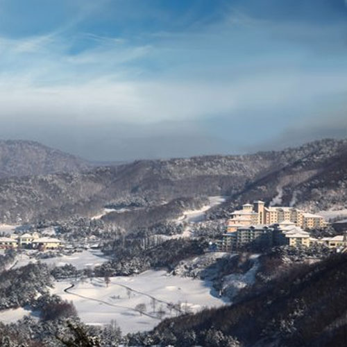 오크밸리 ㅤ오크밸리리조트 (강원)_이미지