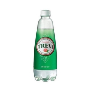 롯데칠성음료 트레비 자몽 500ml (30개)