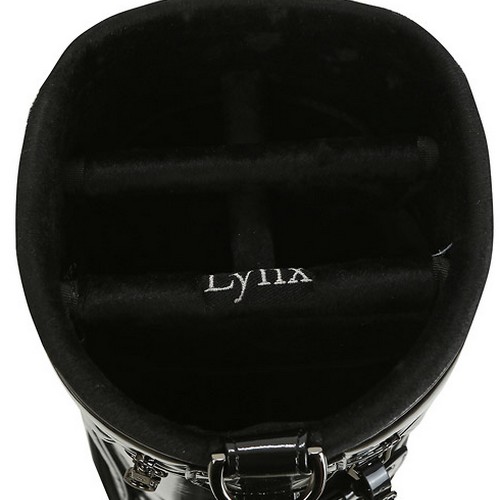 ���� Ȧ�α׷� ĳ��� �⺻�� L21B1CB681