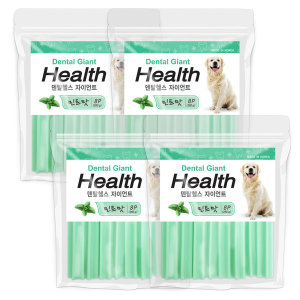  엠엔비물산 덴탈헬스플러스 자이언트 민트 260g (8P) [4개]
