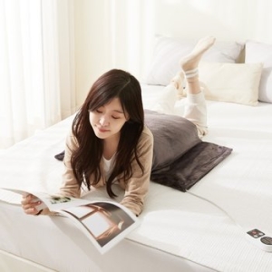 대호플러스 더안 온열 찜질기 DHF-300(대)