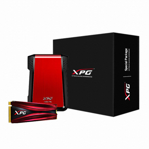 ADATA XPG GAMMIX S10 SSD Pack STCOM (256GB)_이미지