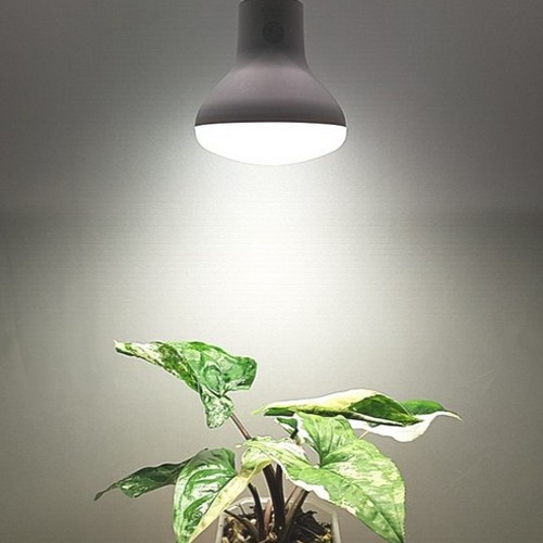 ���ο��� LED �Ĺ����� ��� 11W