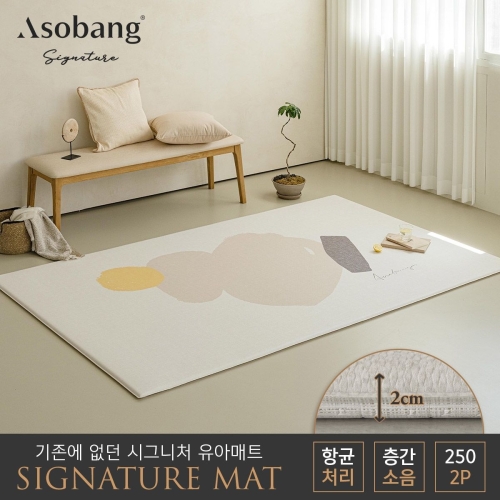 파크론 아소방 아소방 시그니처 놀이방매트 소이스트 250x150x2cm (2개)