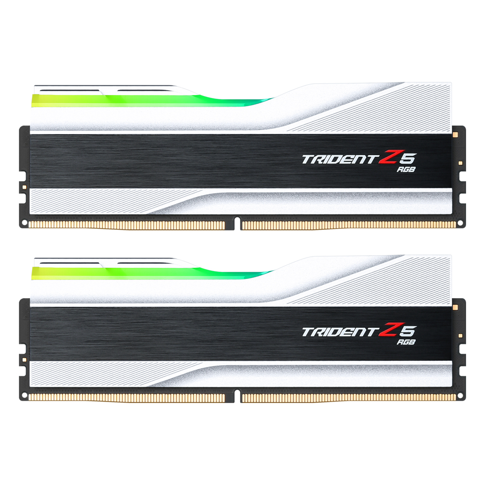 G.SKILL DDR5-7200 CL36 TRIDENT Z5 RGB J 실버 패키지 [48GB(24Gx2)]