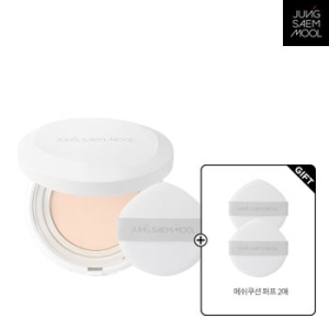 정샘물 정샘물 프로래스팅 결핏 메쉬 쿠션 14g (본품1개)_이미지