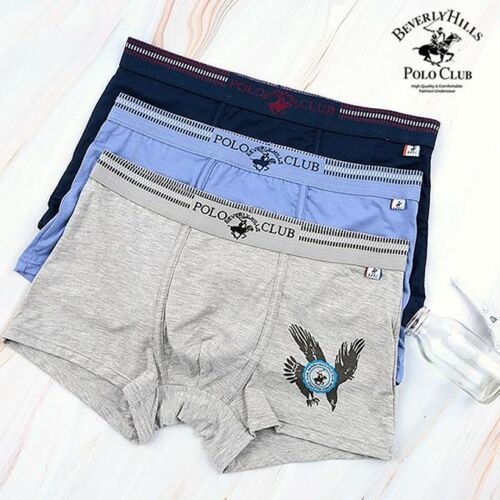 터프가이 티몬121212 무한타임  폴로클럽 텐셀 드로즈 3매입 주니어팬티 성장기 드로즈 트렁크 삼각 세트 BPD0201 85