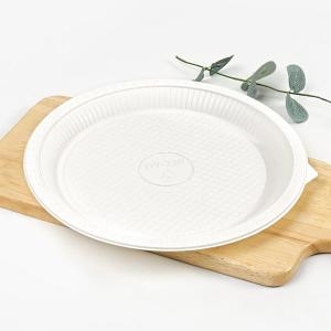 DY 일회용 에코팩 접시 230mm 1박스 1000개 100봉
