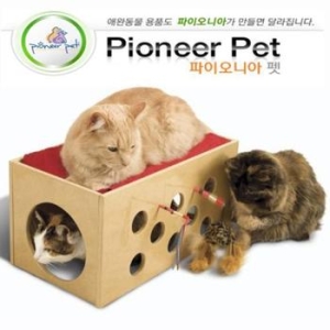  파이오니아 부시스 벙크