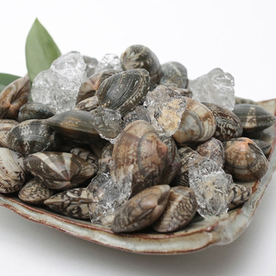 하전바지락 해감한 고창 하전갯벌 활바지락 1kg (2개)_이미지