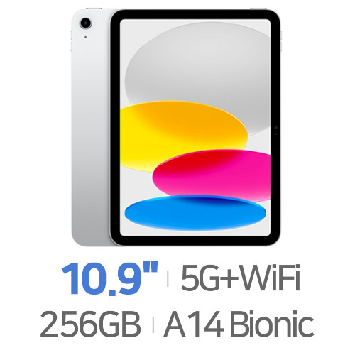 Apple 2022 iPad 10세대 Cellular 256GB
