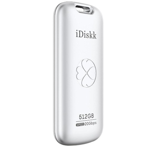 iDiskk US20 해외구매 (512GB)