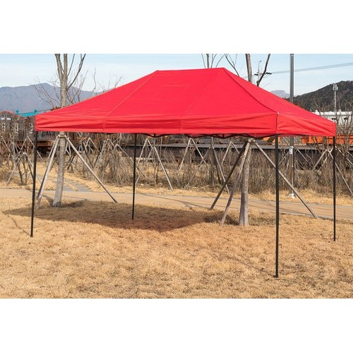 베이직 함마톤 캐노피 300x450