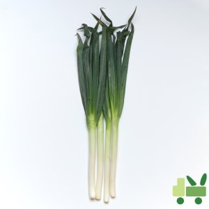 사라상회 대파 10kg (1개)_이미지