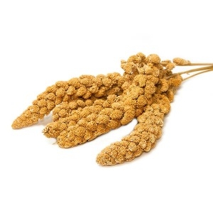 애니몰파크 옐로우 스프레이 밀렛 100g 애완조간식 /새모이이미지입니다. 누르면 해당 게시물로 새창이동합니다.